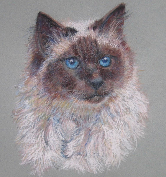 <br>Picture reference: