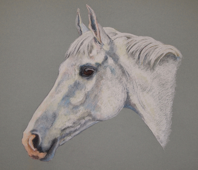 <br>Picture reference: